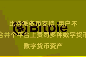 比特派多币支持  用户不错在合并个平台上责罚多种数字货币资产