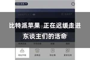 比特派苹果  正在迟缓走进东谈主们的活命