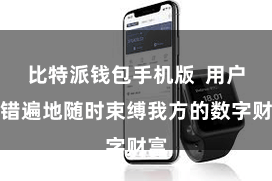 比特派钱包手机版  用户不错遍地随时束缚我方的数字财富